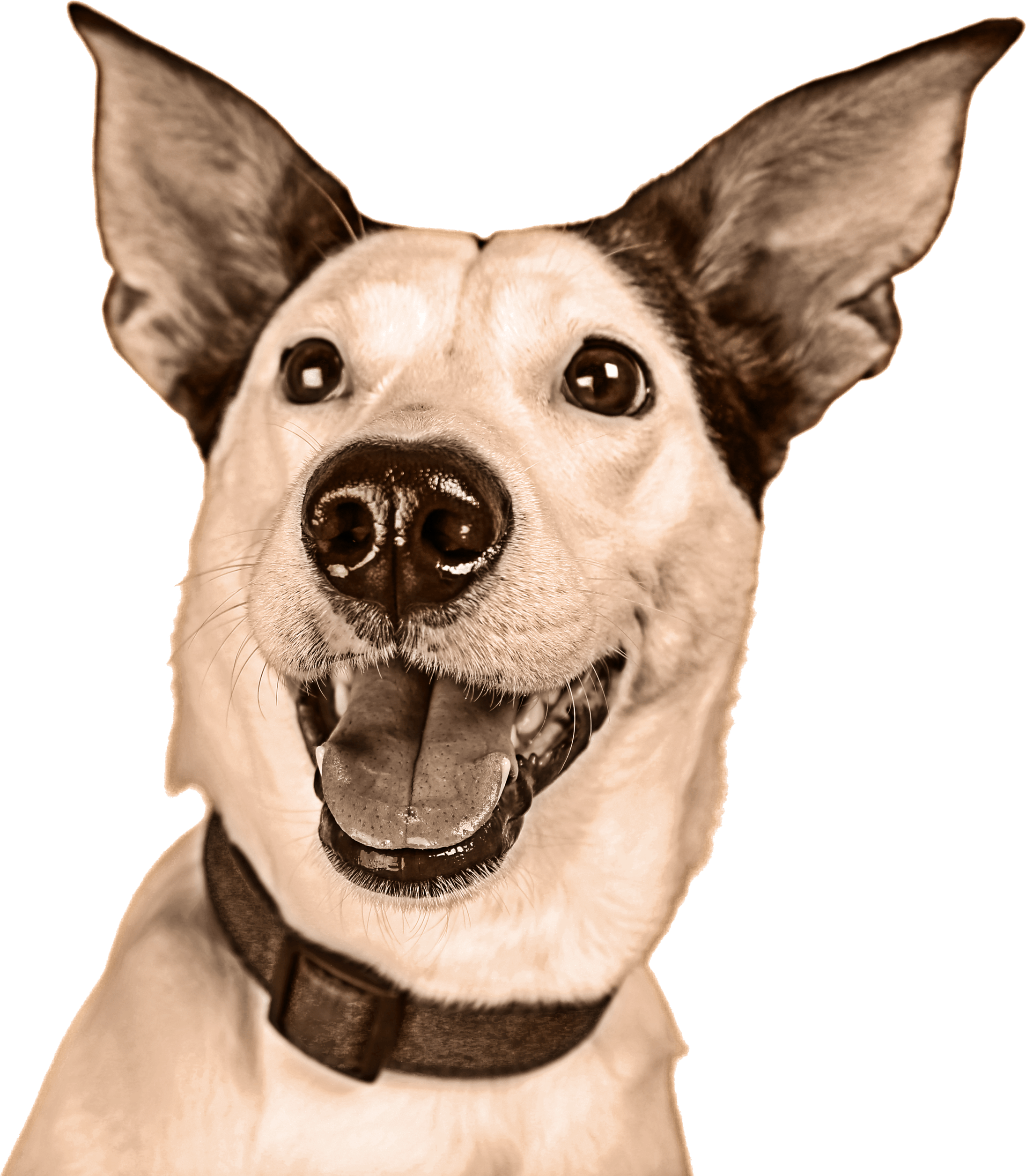 Meal Calculator (2191x2510), Png Download