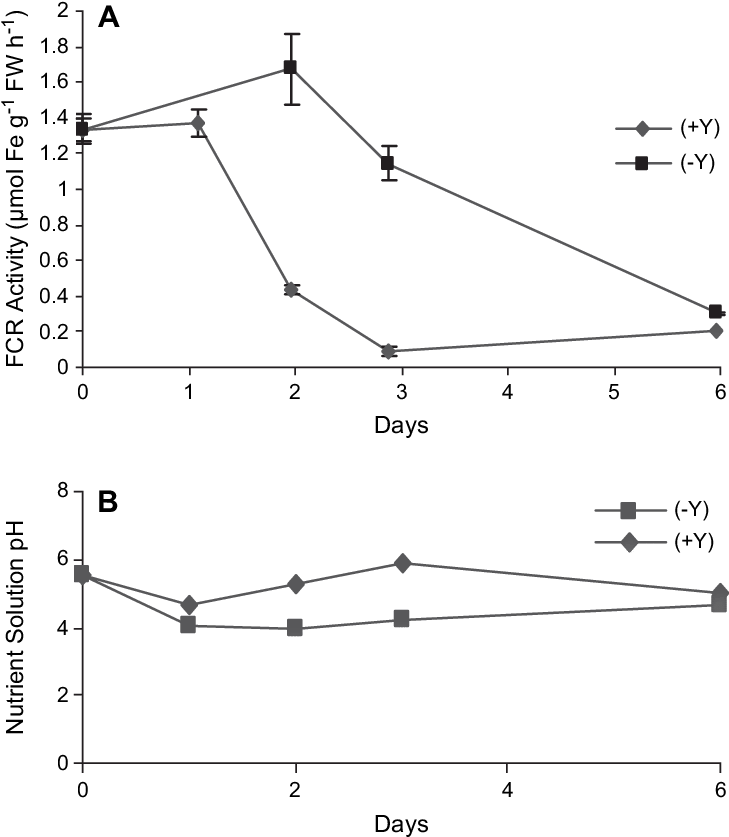 Effect Of Addition Of 10 Mm Ycl 3 To The Growth Medium (736x841), Png Download