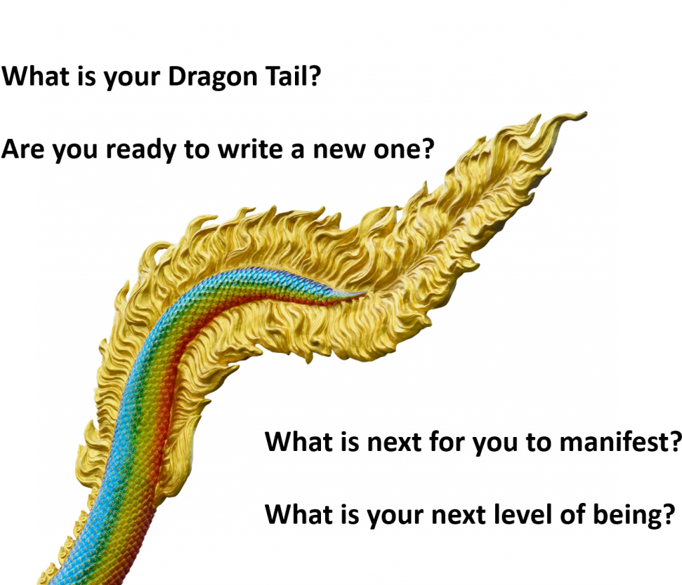 Dragon Training (1024x833), Png Download
