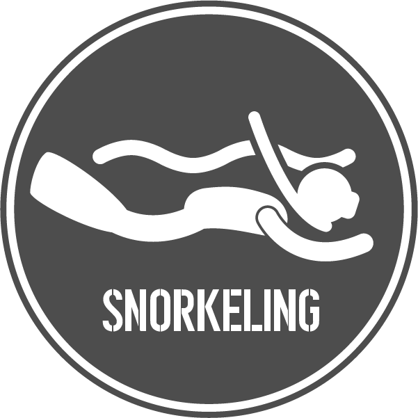 Snorkelingrecurso 42 (601x601), Png Download