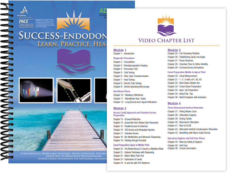 Success In Endodontics (987x747), Png Download