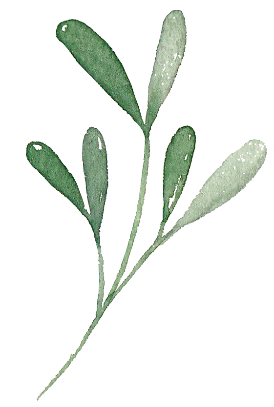 Ok, You've Convinced Me, But What If I Don't Have The (576x855), Png Download