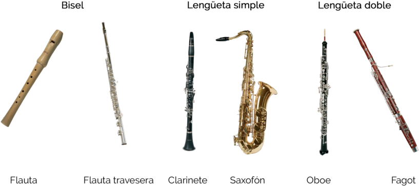 Instrumentos Viento Los Musicales (1024x443), Png Download