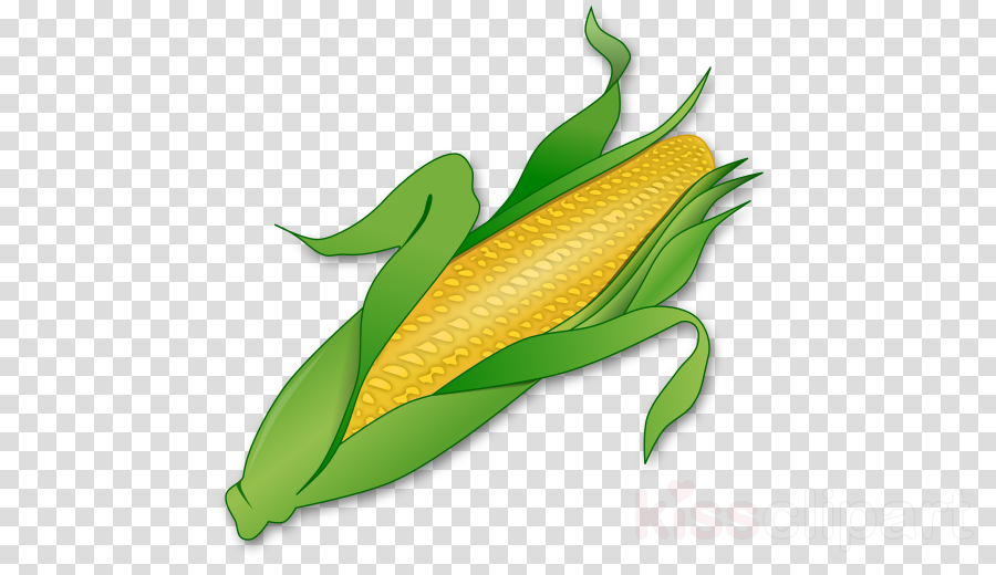 Candy Corn Png (900x520), Png Download