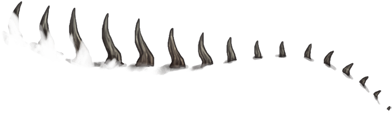 Spikes Png (640x500), Png Download