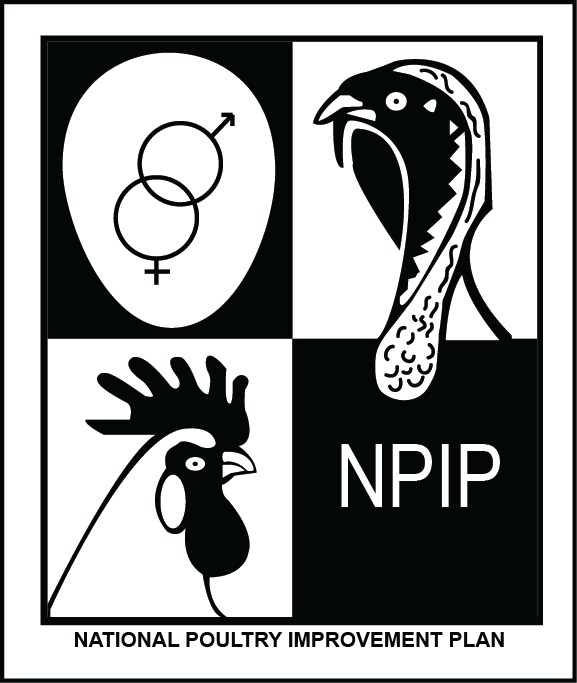 Npip Highdef (577x683), Png Download