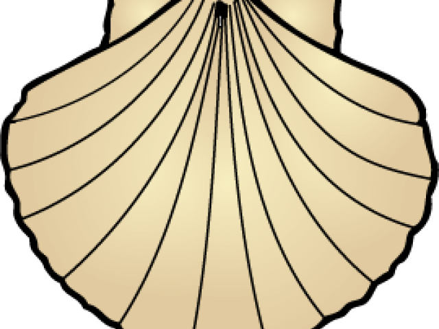 Camino Png (640x480), Png Download