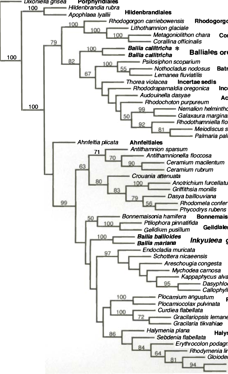One Of The Equally Parsimonious Trees With Results (790x1296), Png Download