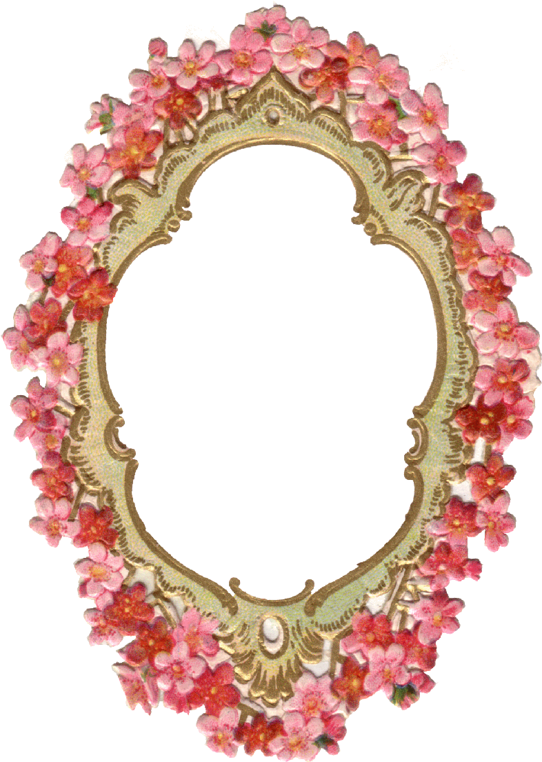 349 Cadre Fleurs Rouge (800x1124), Png Download
