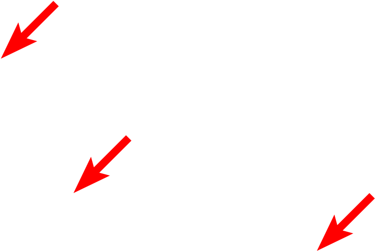 Ribosomes On Rer (1920x1280), Png Download