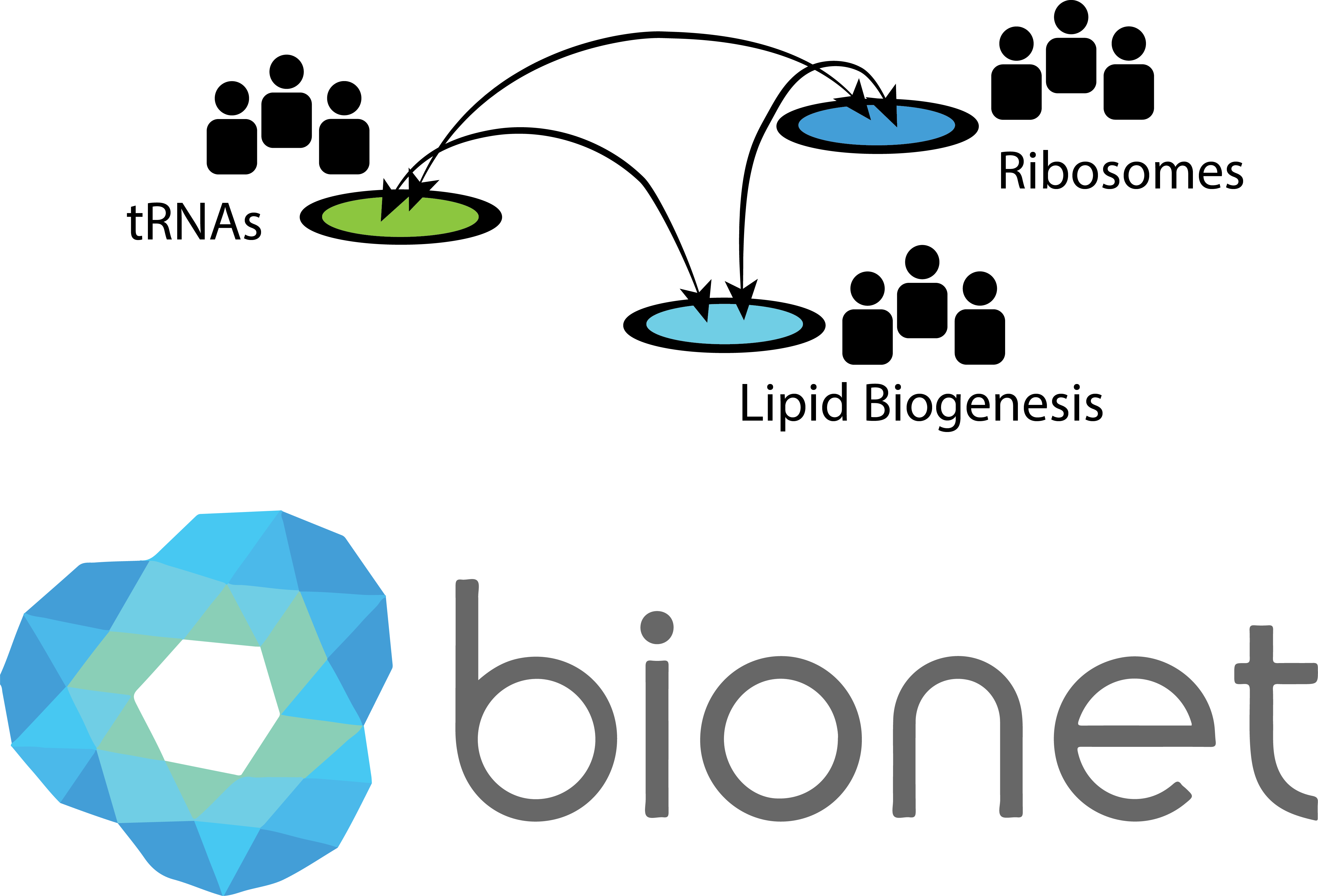 How Can The Biokernel Be Collaboratively Developed (4857x3304), Png Download