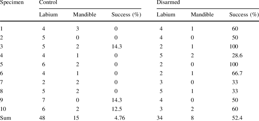 Use Of Labium Or Mandibles For Prey Capture And Relative (850x400), Png Download