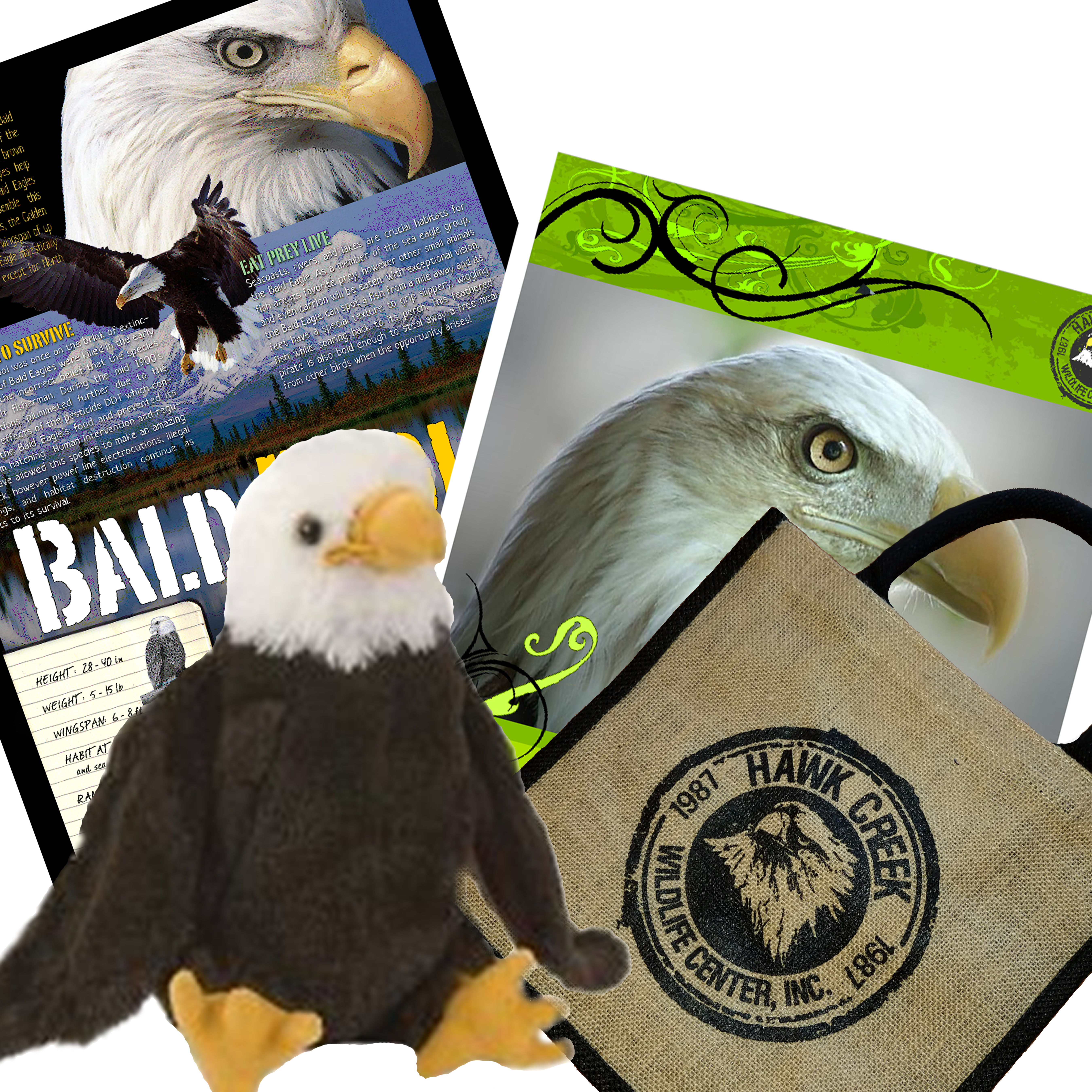 Eagle Tote (5400x5400), Png Download