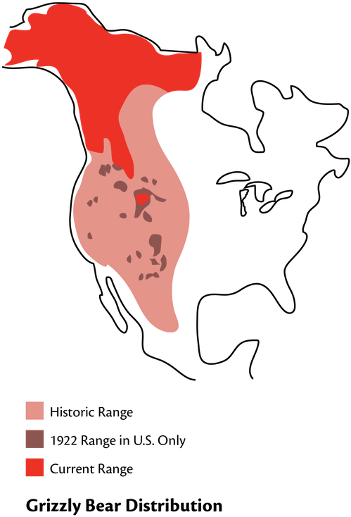 The Yellowstone To Yukon Region, Alaska And Portions (498x768), Png Download