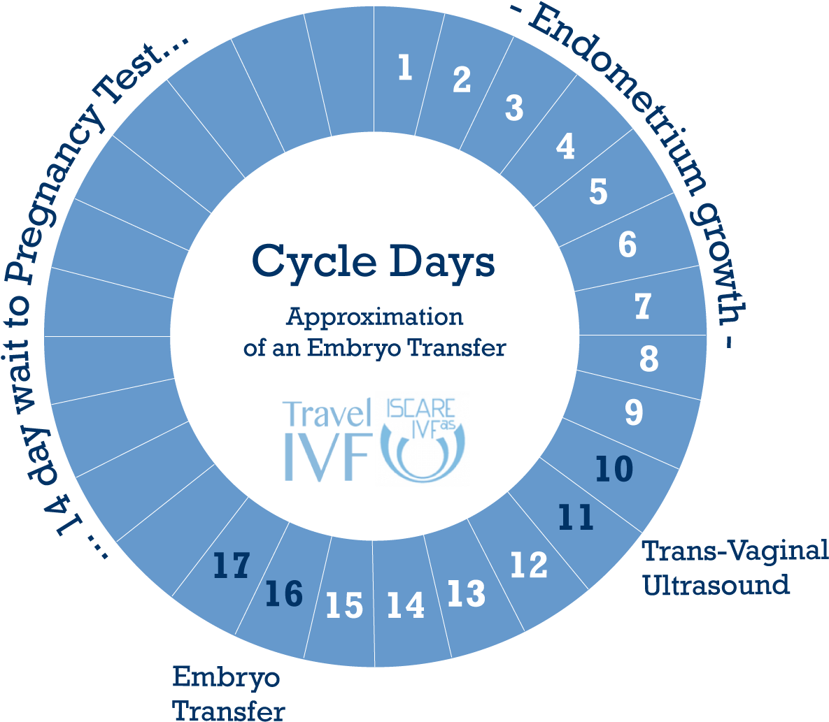 Embryo Donation At Iscare (1261x1120), Png Download