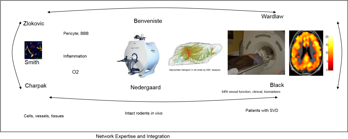 They Will Now Combine Their Unique Strengths And Motivations (1200x516), Png Download