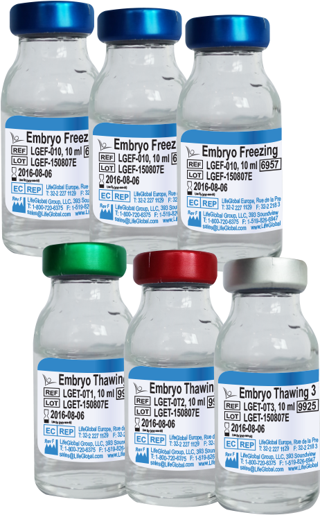 Embryo Freezing & Thawing (466x750), Png Download