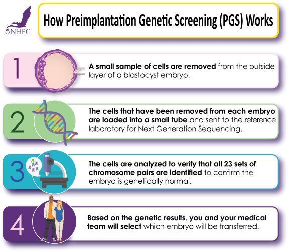 Genetic Screening Nyc (621x524), Png Download