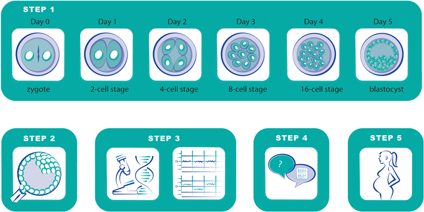 In Vitro Fertilization [introduction Of The Sperm And (885x504), Png Download