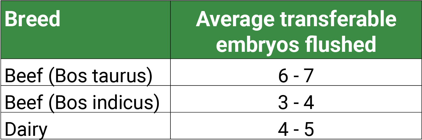 When The Embryos Are Flushed They Are Graded For Quality, (1422x472), Png Download