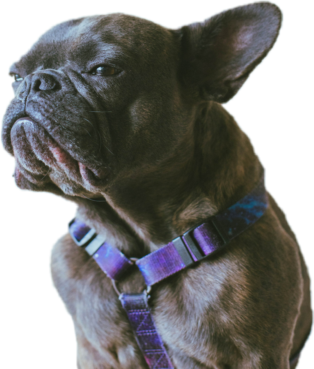 Annoyed Png (1024x1203), Png Download