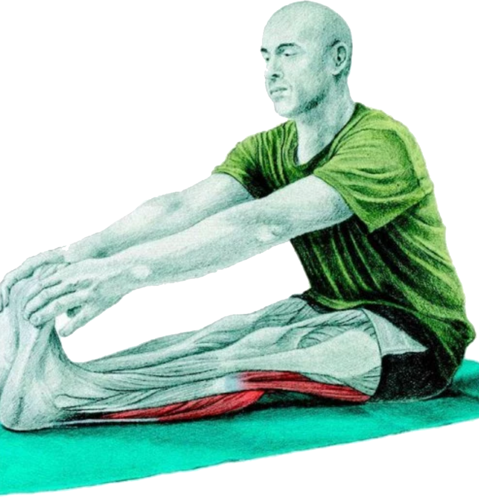 20 Myswimpro Stretch Seated Forward Toe Touch (952x988), Png Download