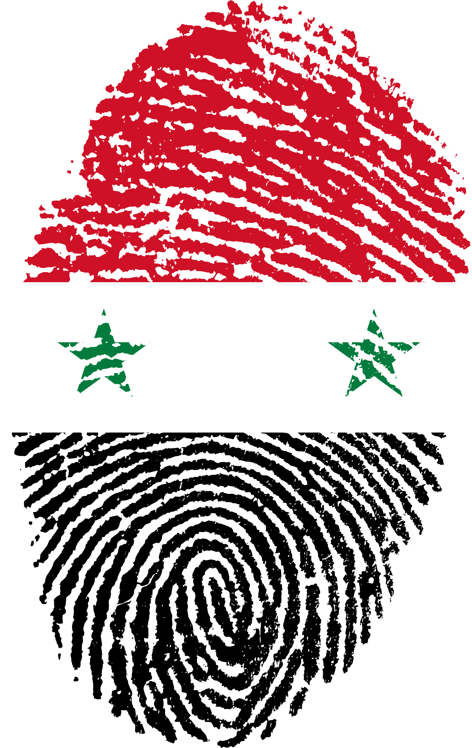 Fingerprint Transparent Png (1573x2488), Png Download