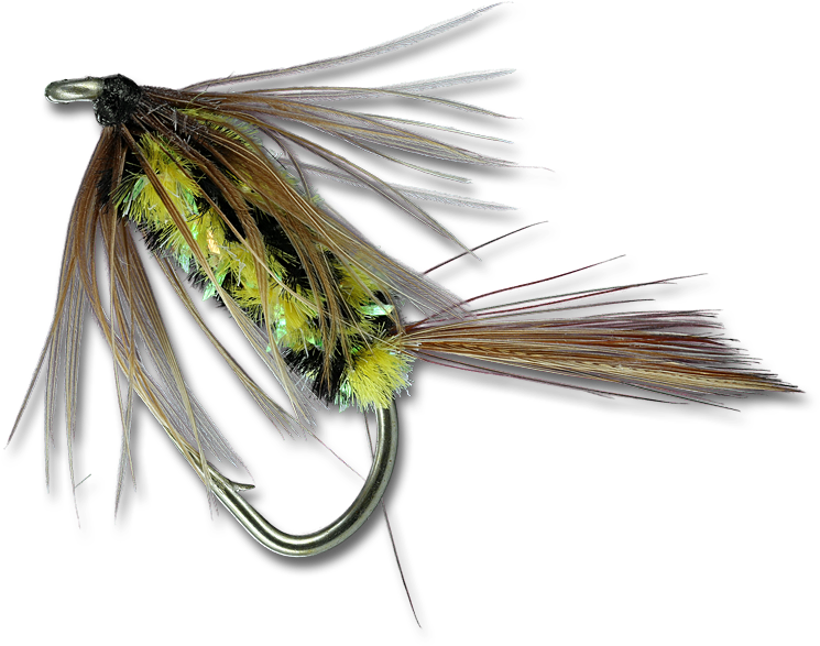 Brindle Bug - (800x800), Png Download