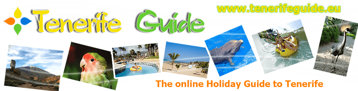 Tenerife Travel Guide (1170x299), Png Download