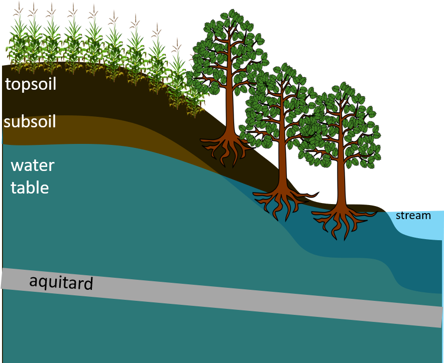 4 Replies 8 Retweets 39 Likes (986x723), Png Download