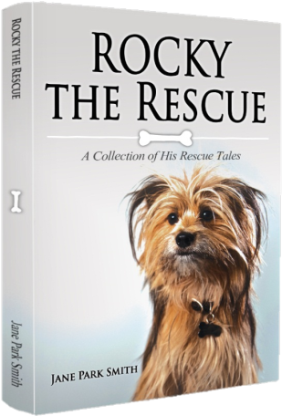 Goodreads Giveaway (600x518), Png Download