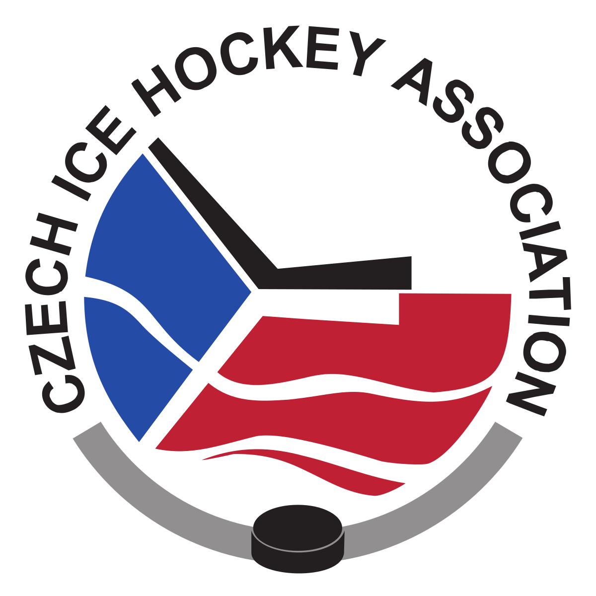 Ice Hockey Png (1200x1200), Png Download
