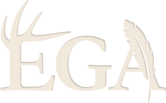 View Website (800x431), Png Download