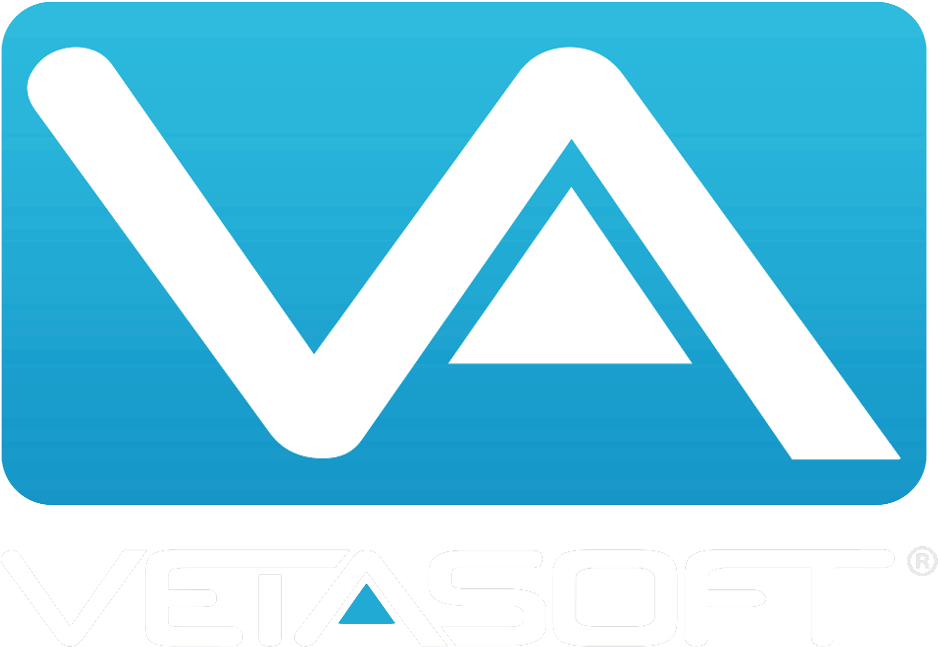 Vetasoft Assets (1024x697), Png Download