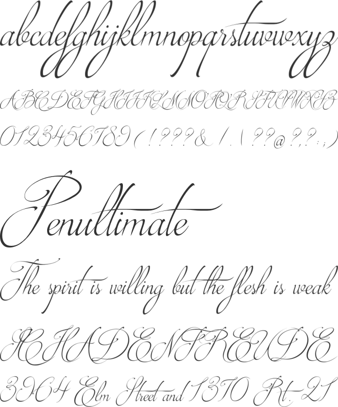 Brotherhood Script (660x793), Png Download