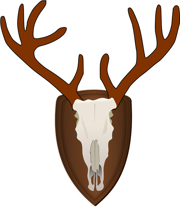 Unduh 480 Background Rusa Keren HD Paling Keren