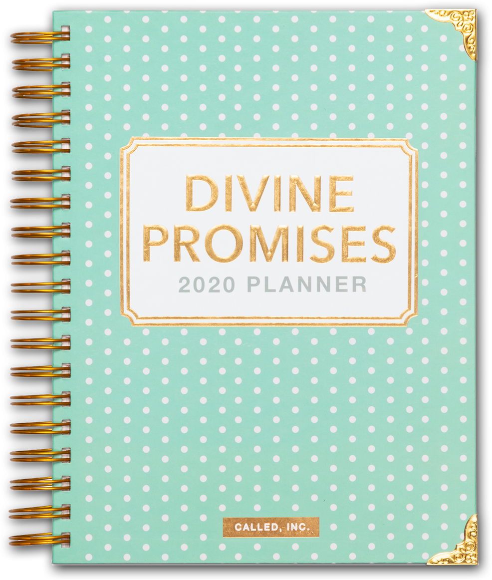 Why It's Divine (1024x1195), Png Download