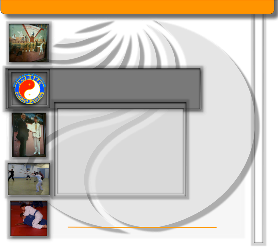 Sally Munro Has Studied With Sifu Ian Cameron For Over (951x951), Png Download