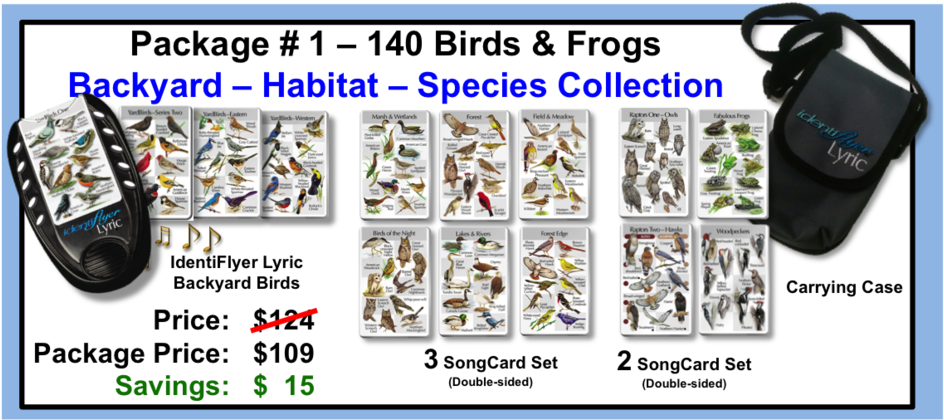 Lyric Png (1024x475), Png Download