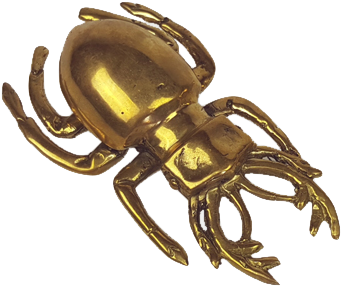 Gold Beetle (800x900), Png Download