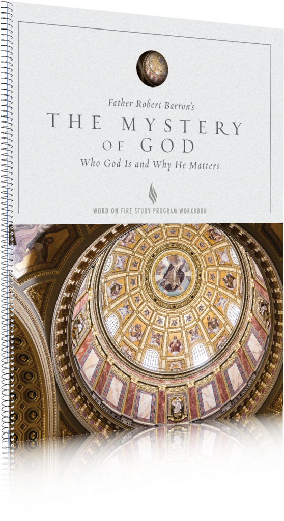 Mystery Of God Study Guide (800x1286), Png Download