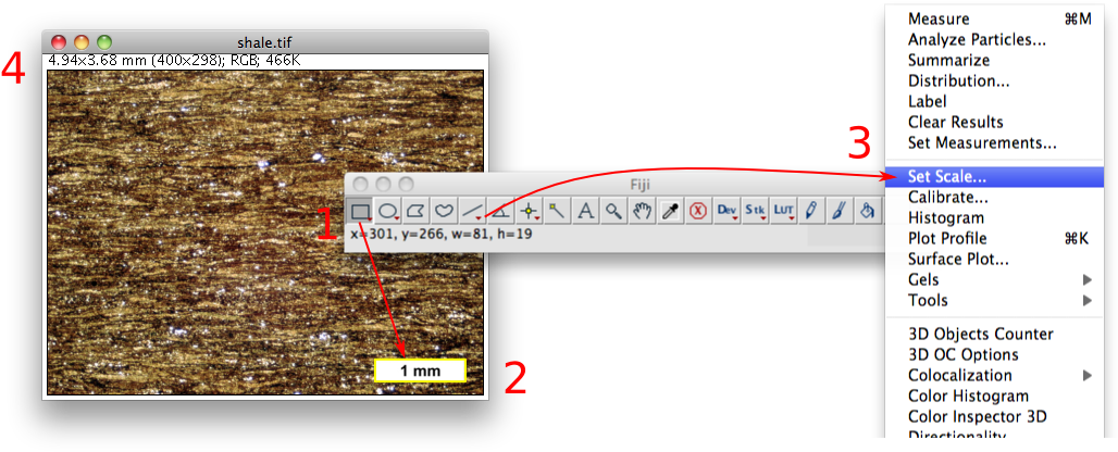 Fiji Set Scale Example (1033x426), Png Download