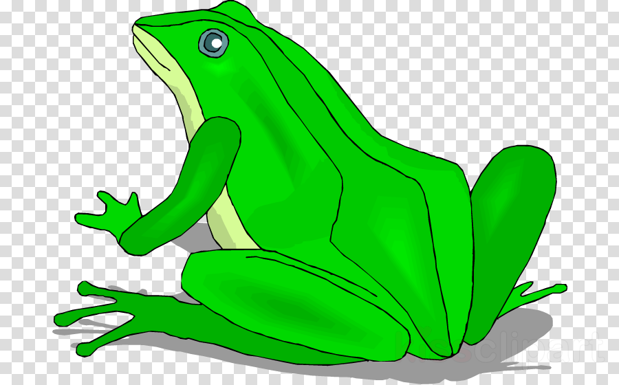 Frog Clipart True Frog Toad (900x560), Png Download