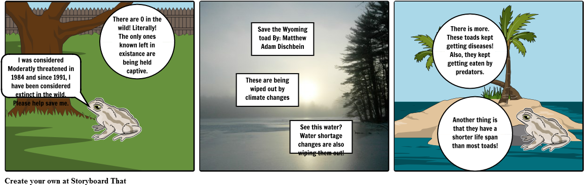 Wyoming Toad (1164x385), Png Download