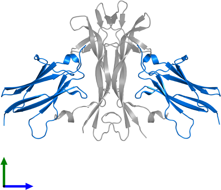 <div Class='caption-body'>pdb Entry 1www Contains 2 (800x800), Png Download