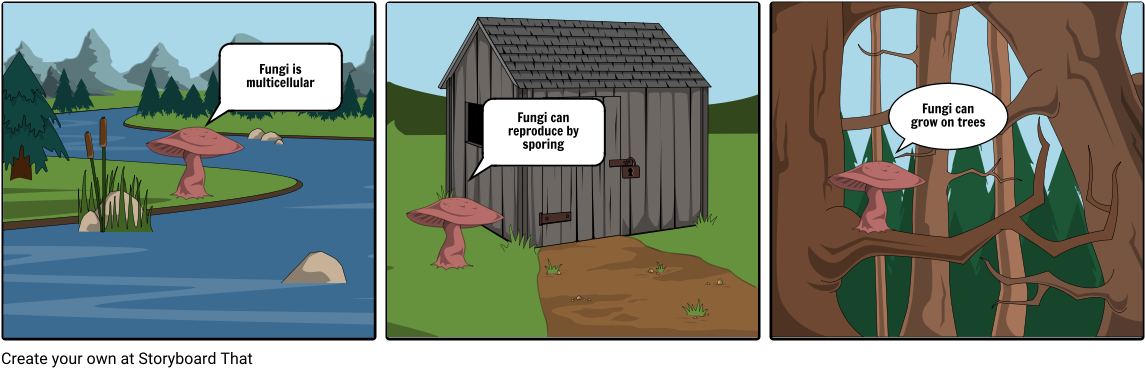 Fungi (1164x385), Png Download