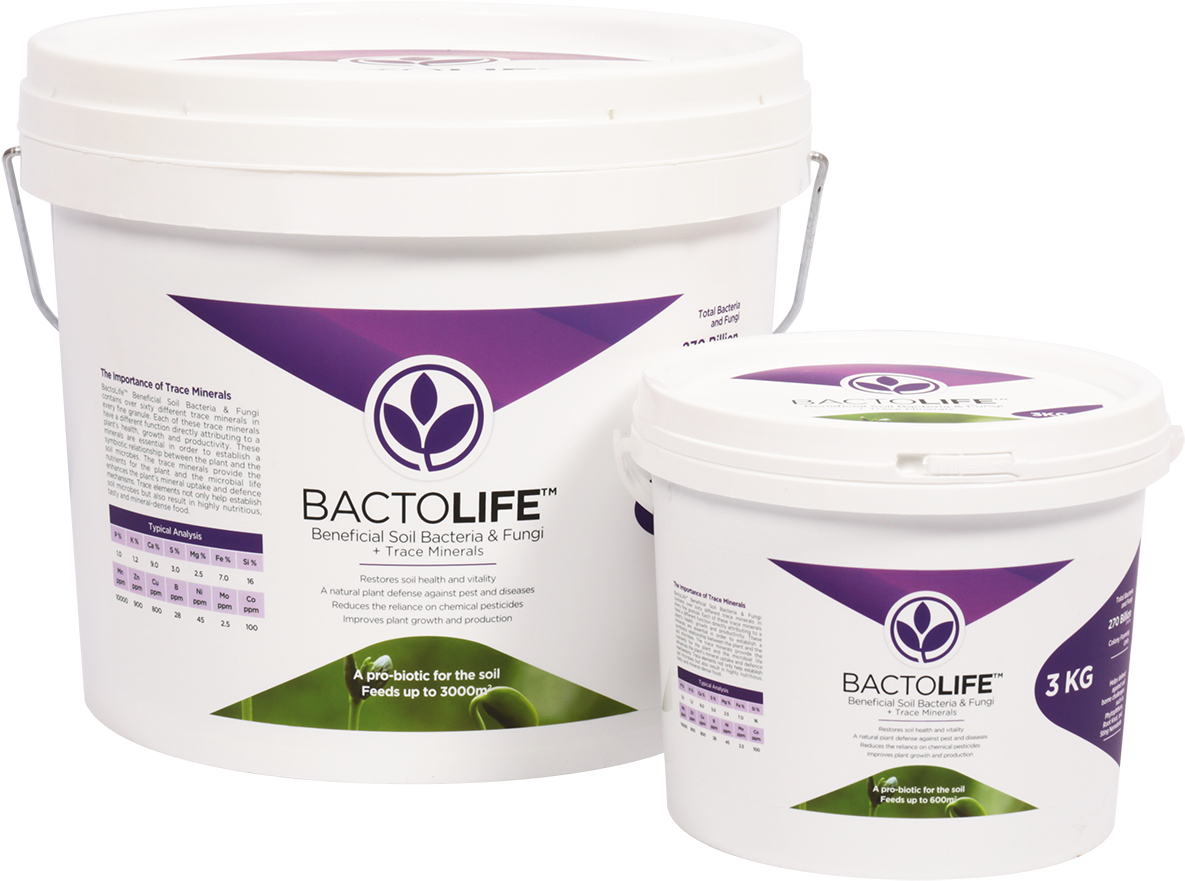 Bactolife™ (1200x900), Png Download