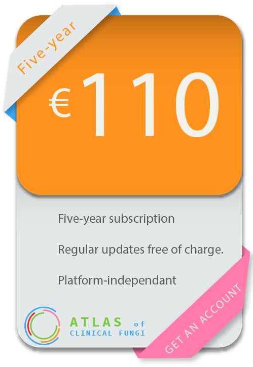 The Website Functions As A Searchable Database On All (508x762), Png Download