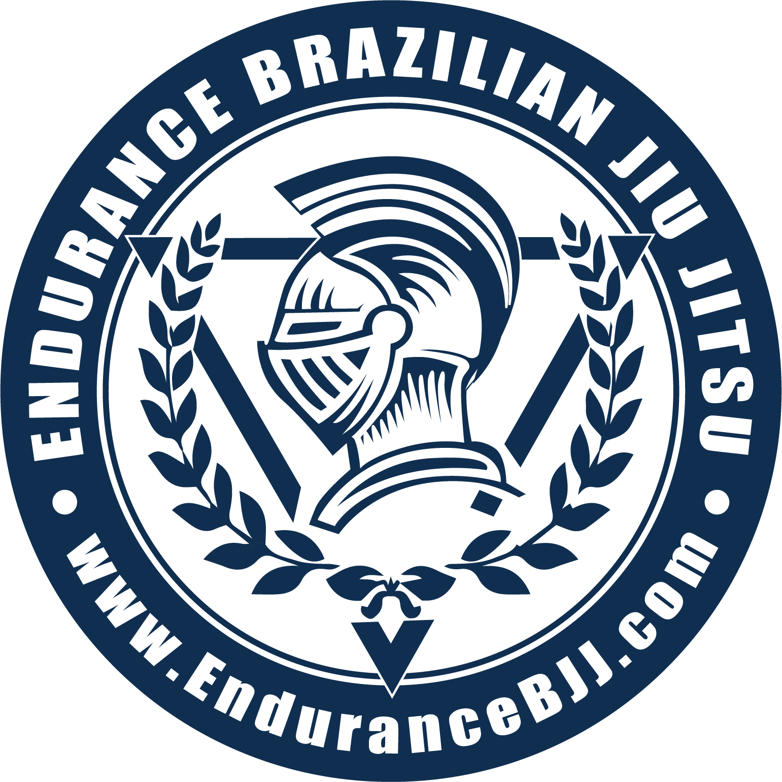 Endurance Training Center Brazilian Jiu Jitsu Is The (1541x1540), Png Download