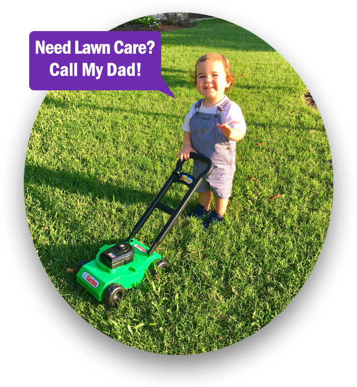 You Will Receive The Absolute Best Lawn Care Service (800x800), Png Download